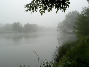 29 mai 08h37-Decize-Camping des Halles-La Vieille Loire sous la brume