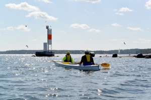 phare aux mouettes