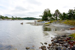 île-aux-fourmis