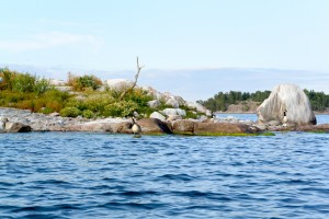 île aux bernache