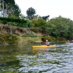 Villieu-Loyes-Mollon - niveau d'eau (érosion)