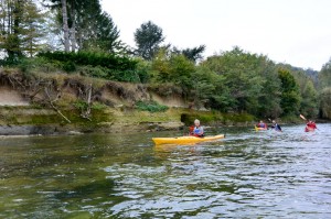 Villieu-Loyes-Mollon - niveau d'eau (érosion)