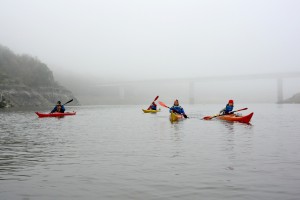 Lac de Villerest (30 nov 2014) sous la brume