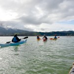 Lac d'Aiguebelette-11 janvier 2015-12h32-Saint-Alban-de-Montbel