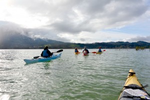 Lac d'Aiguebelette-11 janvier 2015-12h32-Saint-Alban-de-Montbel