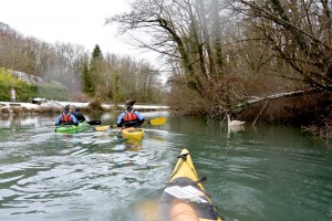 cygneau sur le canal de Savières