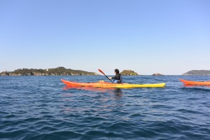 Île du Grand Ribaud, Île du Petit Ribaud, Île du Ribaudon