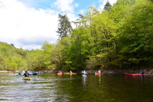 La Goutte Moutouse, Lac de Villerest (mai 2019)